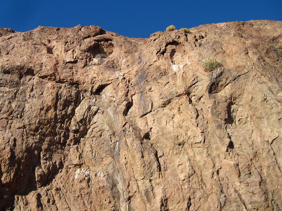 Birds use these two cavelets high up in the rock wall, and one of them is occupied by a nest