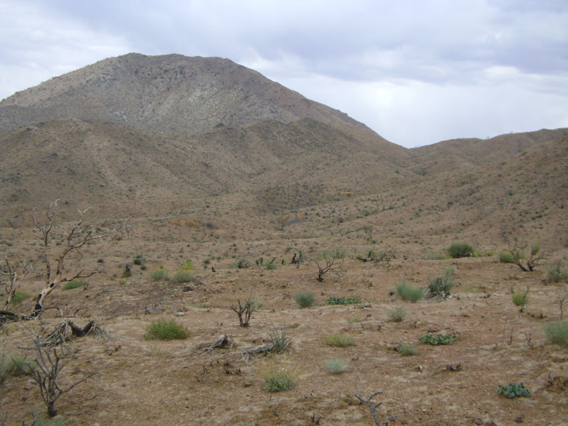 I decide to head over to the remnants of the Columbia Mine, those small orangish mounds in the distance