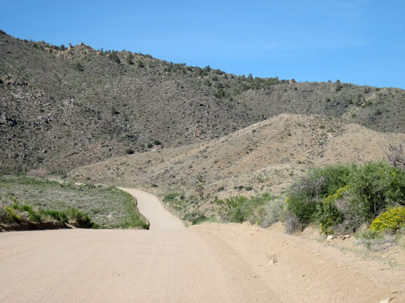 Once Cedar Canyon Road enters the Mid Hills, it drops down into Cedar Wash for a couple of miles