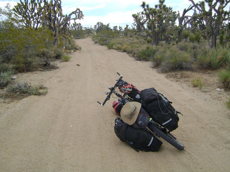 After my break at Thomas Place, I get back on Death Valley Mine Road and ride north through the joshua tree forest