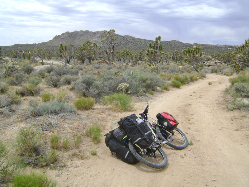 I ride the half-mile up the dirt road from my Cima Dome campsite and reach the pavement of Cima Road at noon sharp