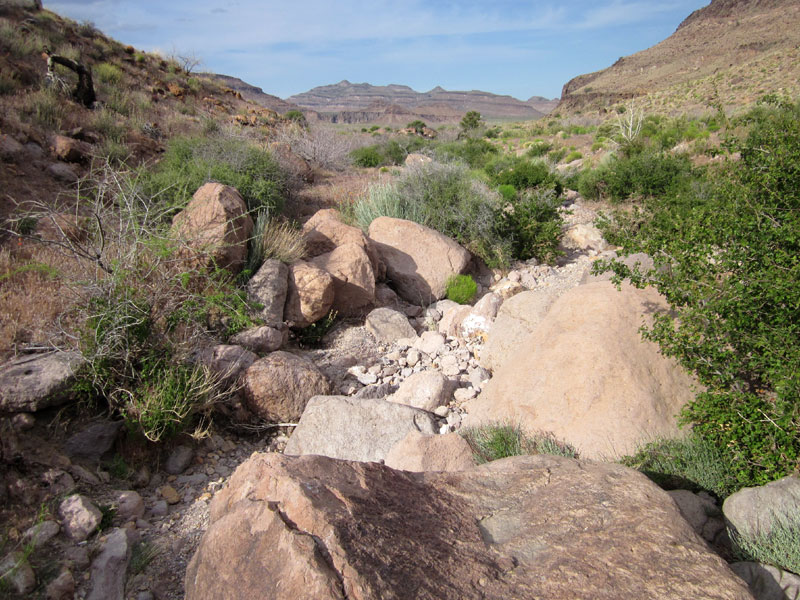 I'm enjoying these parts of Saddle Horse Canyon where I can walk in the dry drainage channel
