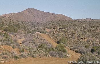 Looking North on Wild Horse Canyon Road