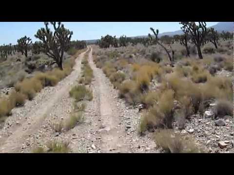 Video snippet of riding the 10-ton bike through the Joshua tree forest on the Sagamore Cut-Off Road