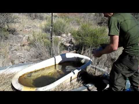 I arrive at Bathtub Spring, Mojave National Preserve and proceed to filter about two gallons of water