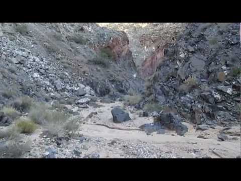 Hiking down Piute Canyon is like entering another world