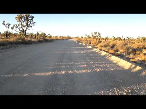 Therapeutic repetitious motion: riding into the Joshua tree forest on Ivanpah Road
